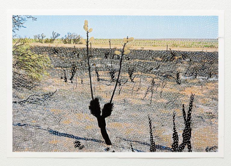 William Greiner and Matt Clark, The Space Between #2, a flat expanse of pale desert ground with two tall bare stalks rising at the centre, the ground and the sky worked over in dense white dots and the stalks and the low stubs around them filled solid black