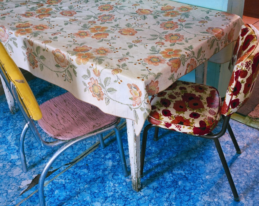Alex Harris Celina Cruz's Kitchen