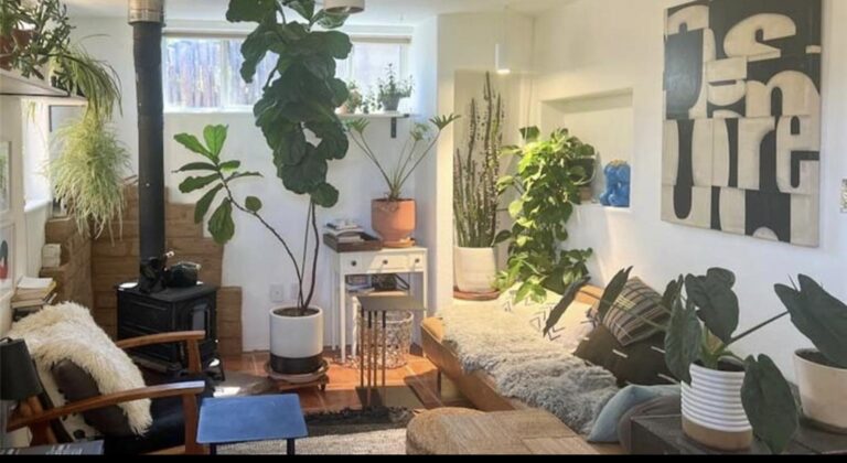 Living room with a wood stove, plants, and art at 607 Salazar St, Santa Fe