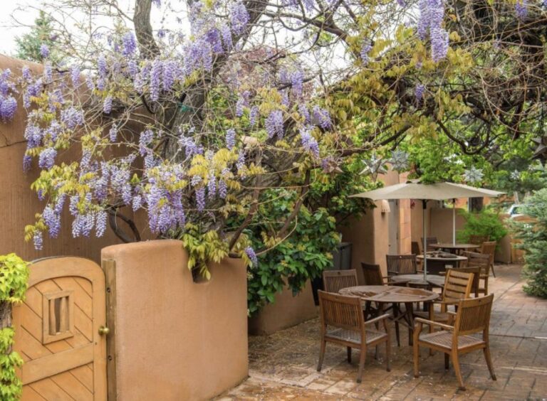 A courtyard at the Inn on the Alameda with wisteria in flower spilling over an adobe wall above a carved wooden gate, and teak tables and chairs set out on brick paving under a canvas umbrella.