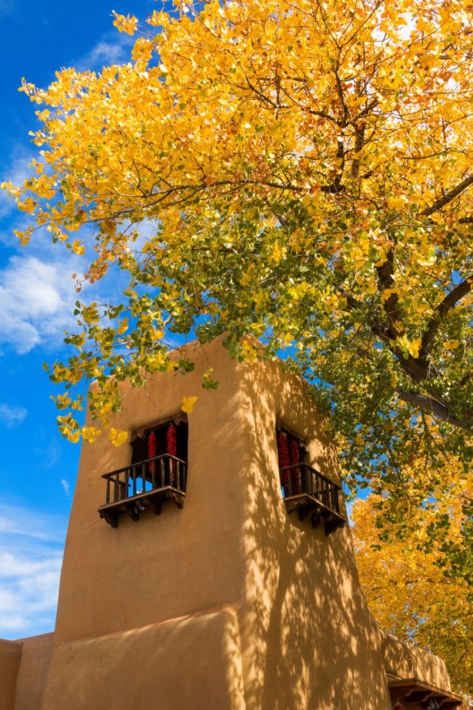 A cottonwood in full autumn yellow above a Pueblo Revival adobe building in Santa Fe, with two small wooden balconies hung with red chile ristras and a clear blue sky behind.