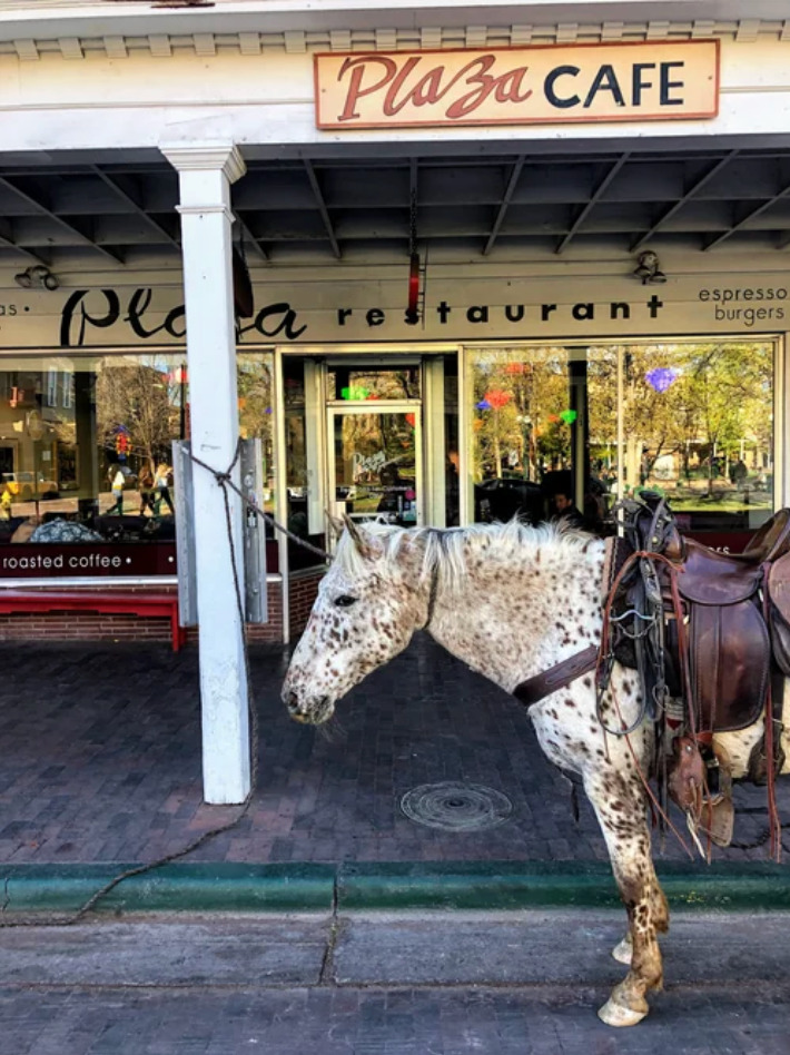 A saddled Appaloosa horse tied to a post outside the Plaza Cafe on the Santa Fe Plaza